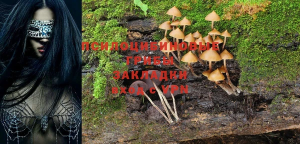 mdma Бородино